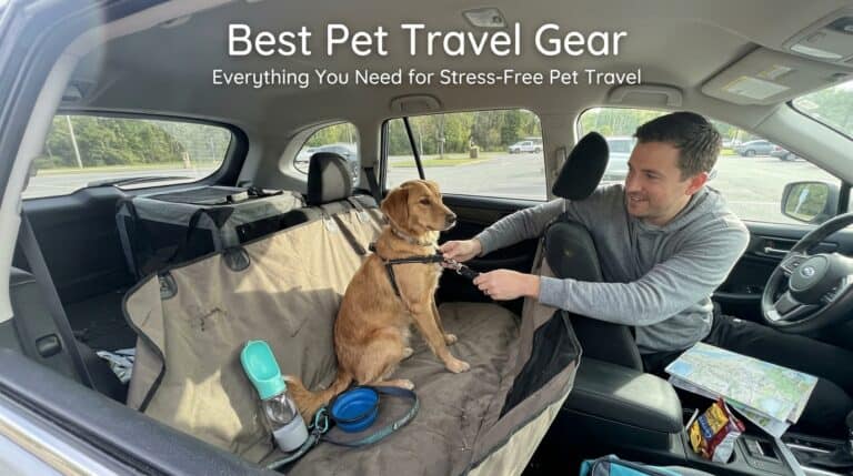 Best Pet Travel Gear