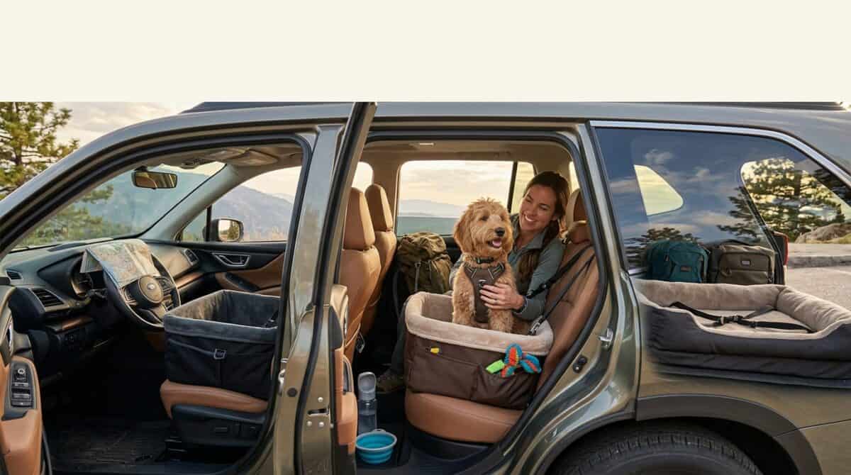 Best Dog Car Seats