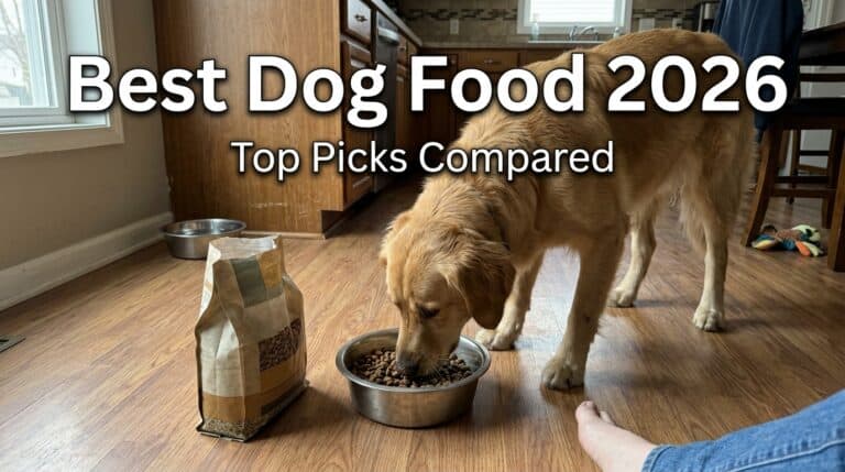 Best dog food